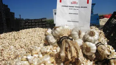 Araban sarımsağına coğrafi işaret tescili