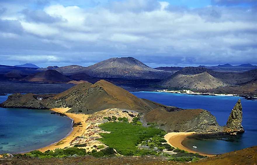 Darwin'in adasından kaçıyorlar 3