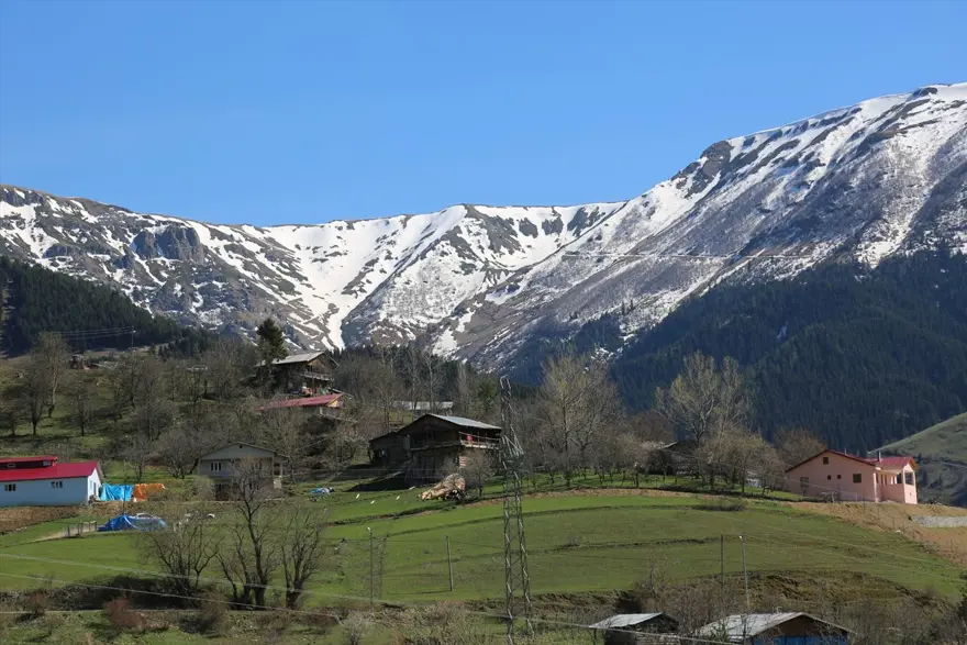 'Sakin şehir' Şavşat ilkbaharda bir başka güzel 2