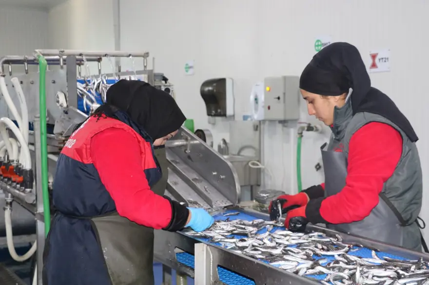 Tezgahlarda fırtına etkisi: Balık fiyatlarına yansıdı 4 Tezgahlarda fırtına etkisi: Balık fiyatlarına yansıdı 4