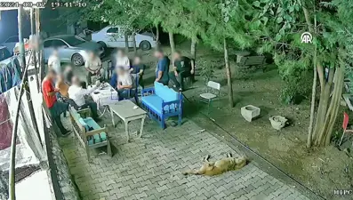 Narin Güran cinayeti: Aile bireylerinin toplantı görüntüsü dava dosyasına girdi