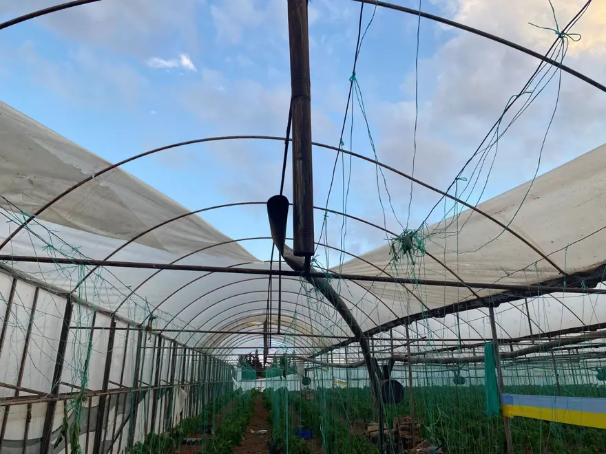 Antalya’da çıkan hortum ev ve seralara zarar verdi 7