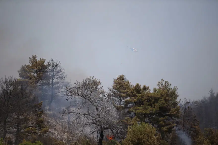 ÇANAKKALE ECEABAT’TA ORMAN YANGINI 8