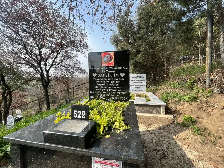 "BUKELAMUN DEFİN TEKLİFİ ALMIŞTIK" 4