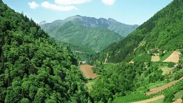 Camili Vadisi'ndeki HES'e durdurma