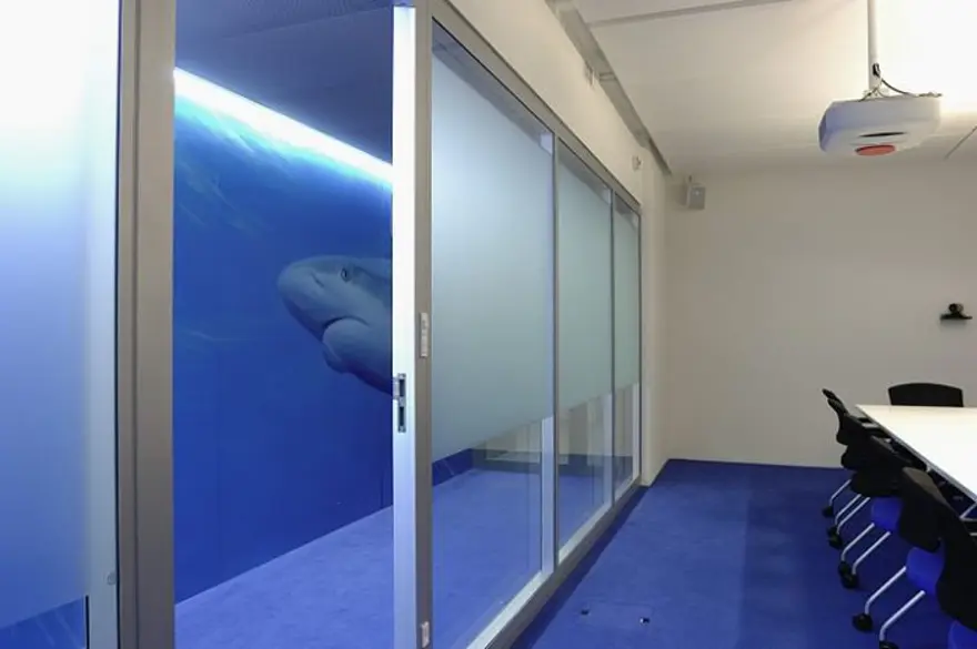 Google'ın Zürih'teki yeni ofisi 46