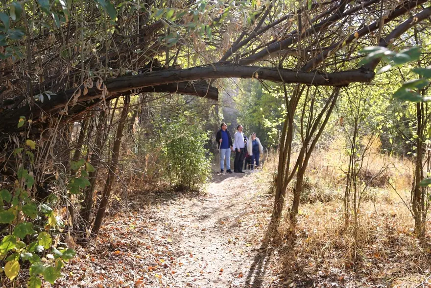 Kapadokya'nın gözbebeği Gomeda Vadisi doğa tutkunlarını ağırlıyor 5