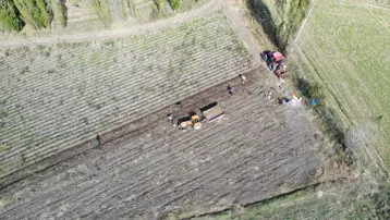 Bu yıl rekolte beklentinin üzerinde: "Kartol" olarak biliniyor
