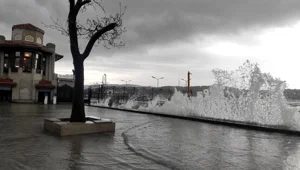 İstanbul'da fırtına: 1 can kaybı İstanbul'da fırtına: 1 can kaybı