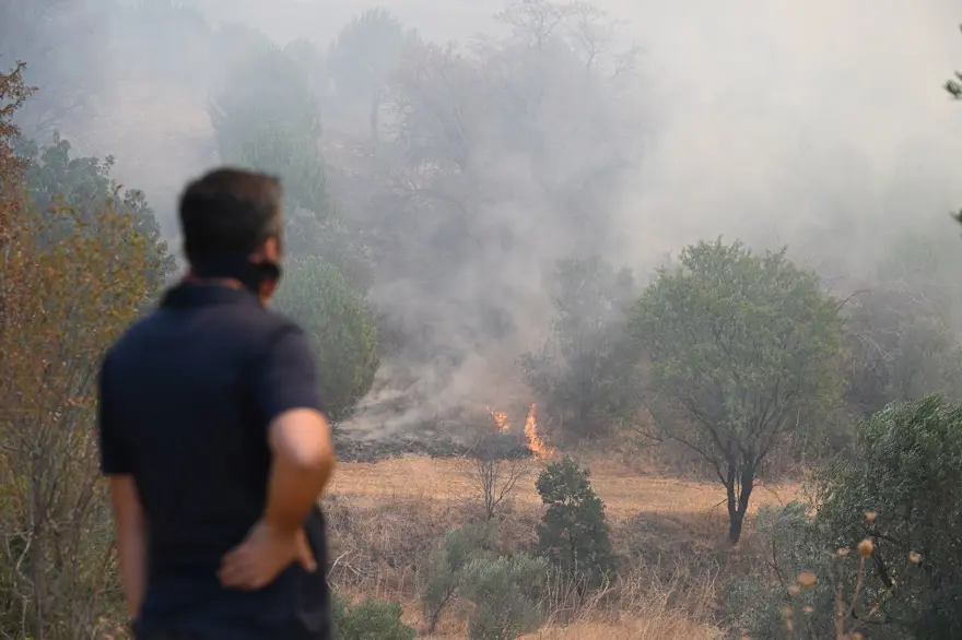 Çanakkale'de orman yangını kontrol altında 44