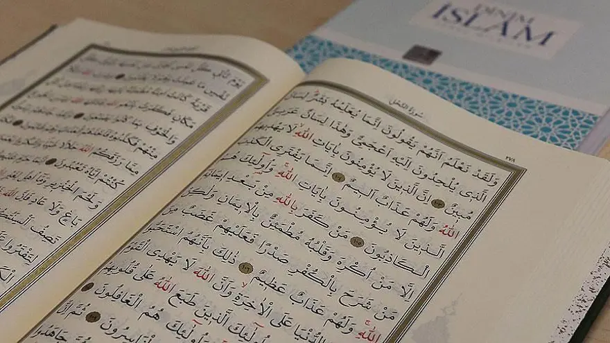 Fatiha Suresi okunuşu ve anlamı: Fatiha Suresi (Elham) anlamı, faziletleri ve Türkçe-Arapça okunuşu (Diyanet Meali ve Tefsiri) 5