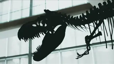 Dinozorlar Çağı'nda yaşamış dev deniz sürüngeni türü keşfedildi