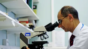 Böbrek hastalarına umut ışığı