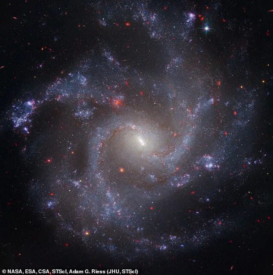 BİRBİRLERİNDEN UZAKLANIYORLAR 4 BİRBİRLERİNDEN UZAKLANIYORLAR 4