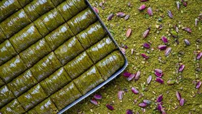 Türkiye'nin 36. gururu! "Fıstık gibi müjde"yi Bakan Yumaklı duyurdu