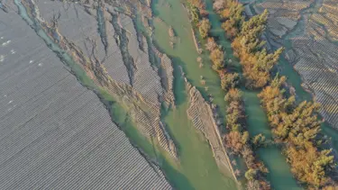 Deprem tarımı da vurdu: Tarım alanlarının yüzde 16'sı bölgede