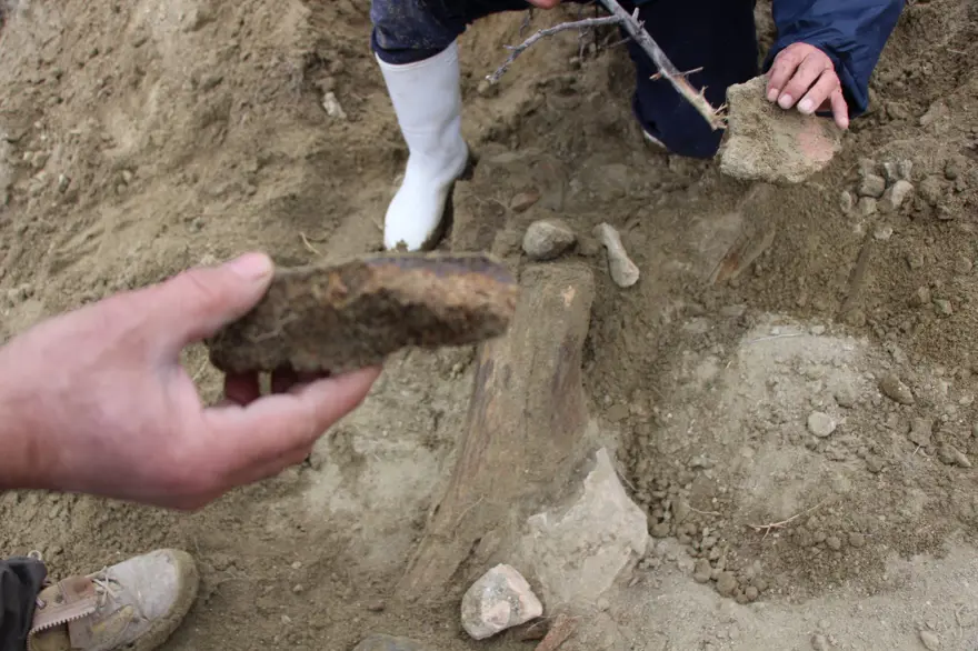 Amasya'da bulunan cisimler için mamut fosili heyecanı 2