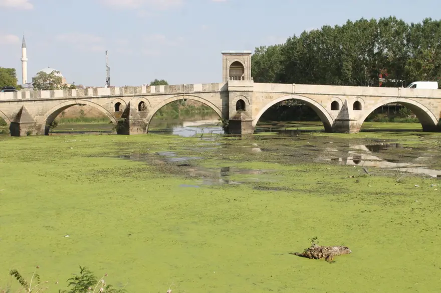 Tunca Nehri yeşile döndü 1