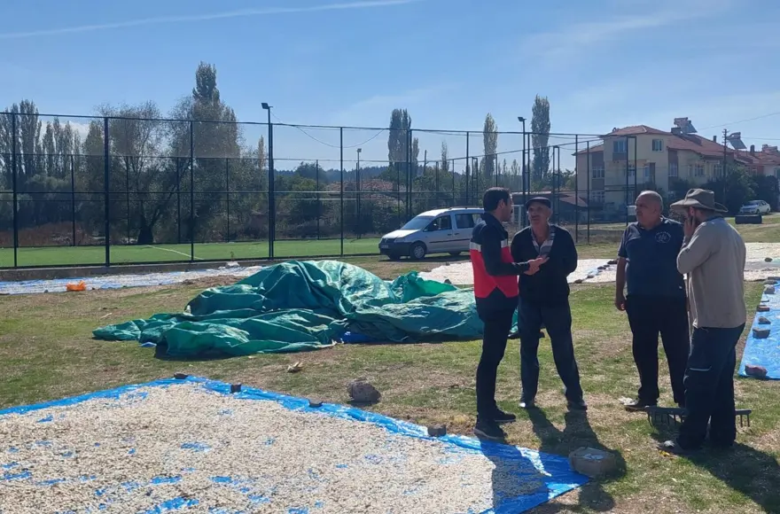 600 dekar alana ekilmişti: Kontrolleri yapıldı 