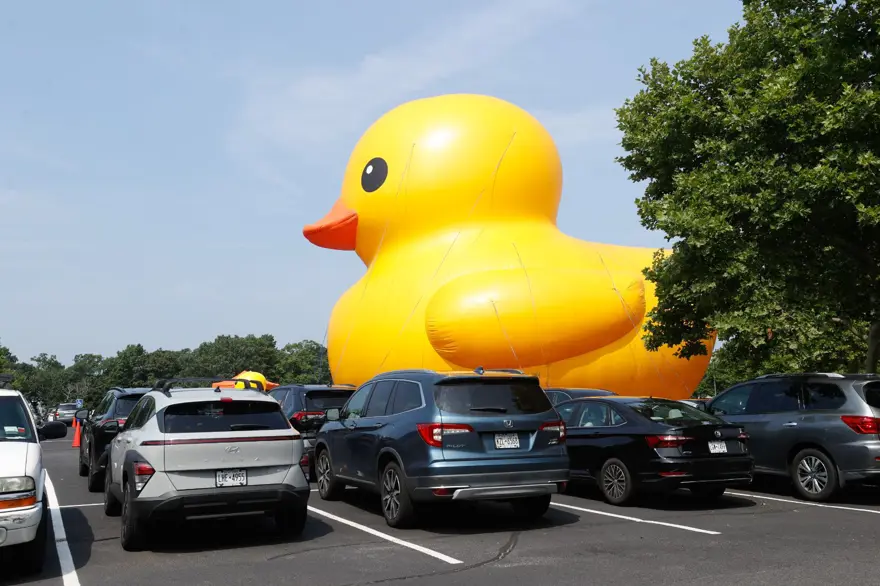 Dünyanın en büyük lastik ördeği New York'ta sergileniyor 1