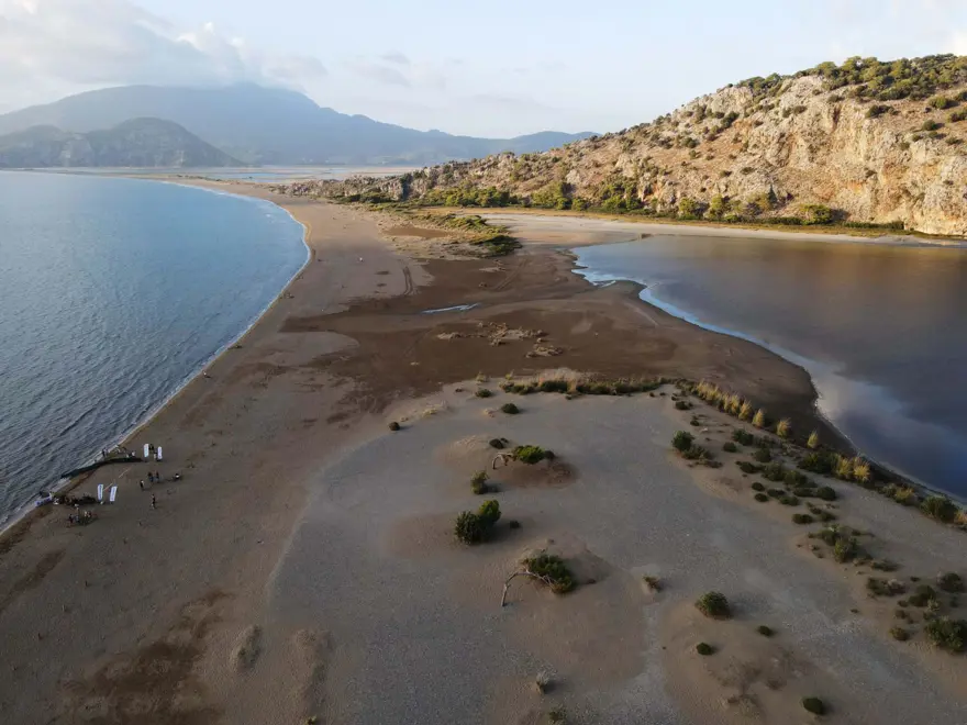 35 bin yavru caretta caretta denizle buluştu 