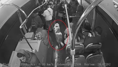 “Beto”nun belediye otobüsüyle firarı: Kafesten atlayıp kaçtı