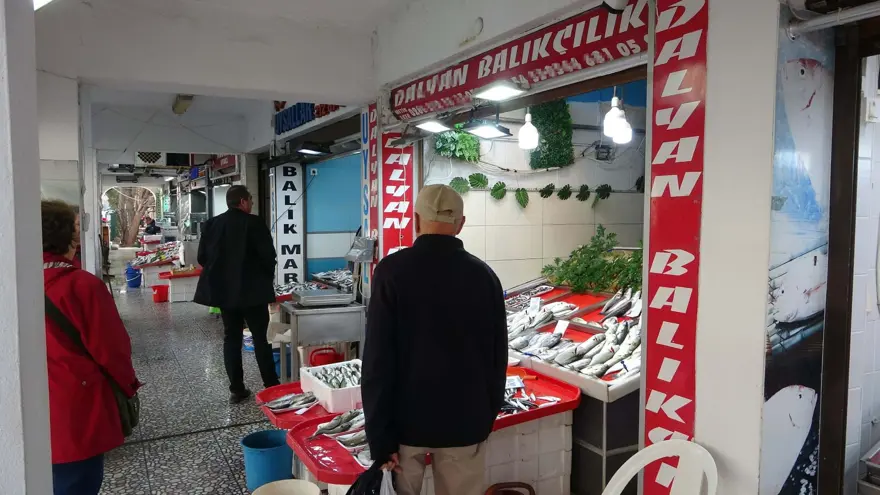 "PALAMUT BOLLUĞU HER SENE OLMAZ" 5 "PALAMUT BOLLUĞU HER SENE OLMAZ" 5