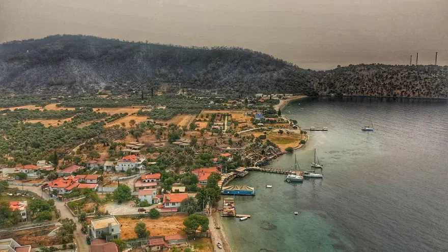 Bodrum ve Milas'ta yanan alanlar havadan görüntülendi 8 Bodrum ve Milas'ta yanan alanlar havadan görüntülendi 8