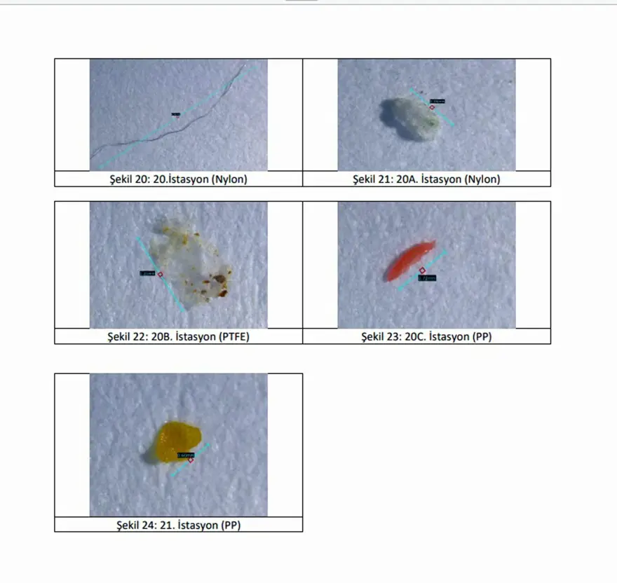 Ege Denizi'nde mikroplastik tehdidi 6