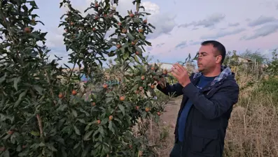 Doğu'nun soğuğunda yetiştirdi: Muşmula, dağ çileği, yer fıstığı...