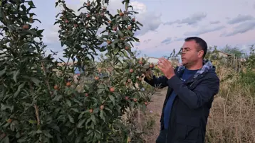 Doğu'nun soğuğunda yetiştirdi: Muşmula, dağ çileği, yer fıstığı...