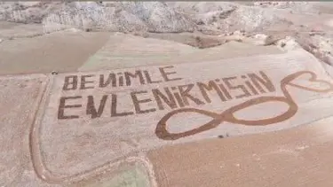 Traktörüyle tarlaya "Benimle evlenir misin" yazdı