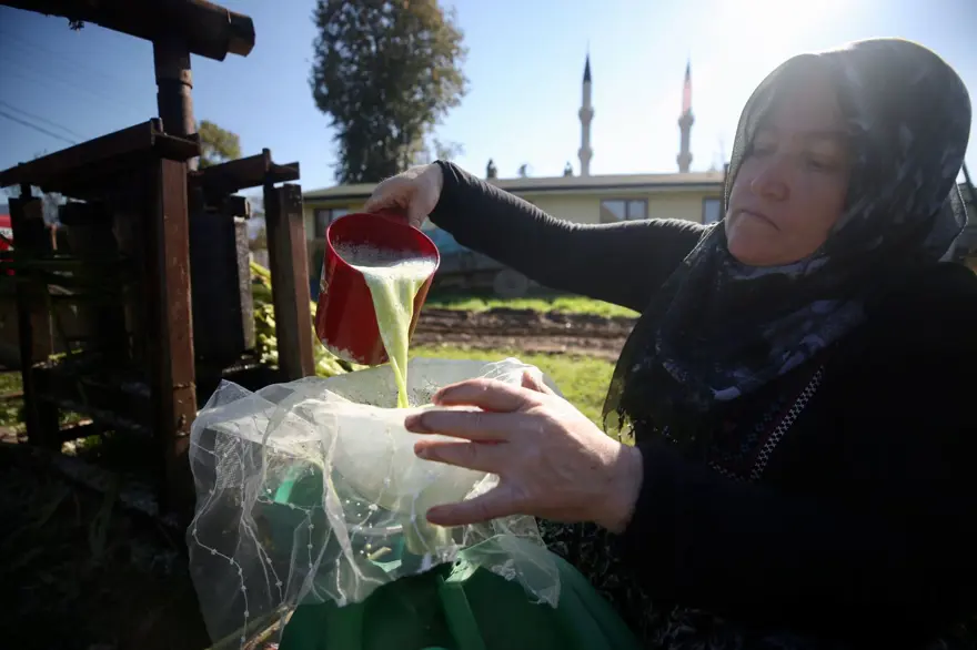 150yıllık mengenede sıkılan şeker kamışlarının pekmez yolculuğu 3 150yıllık mengenede sıkılan şeker kamışlarının pekmez yolculuğu 3