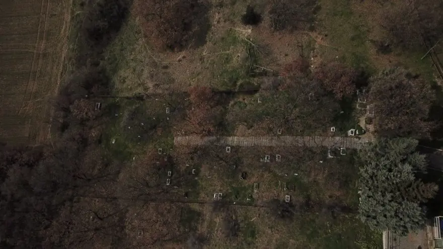 Evcil hayvanlara özel mezar yeri! Papağan da gömüldü, kuş da... "Bukalemun gömmek isteyen oldu" 3