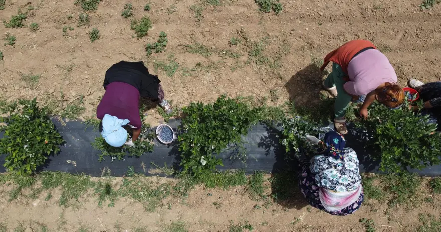 'İNSANLAR ÇARESİZ KALMASIN DİYE ÜRETİME BAŞLADIM' 4 'İNSANLAR ÇARESİZ KALMASIN DİYE ÜRETİME BAŞLADIM' 4