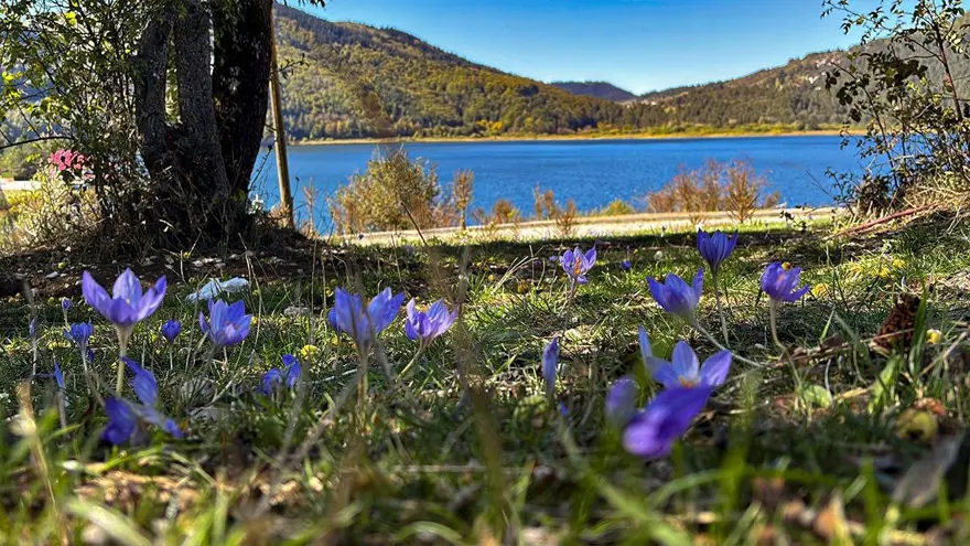 Abant'ta renk cümbüşü: Vatandaşlar doğanın keyfini çıkardı 