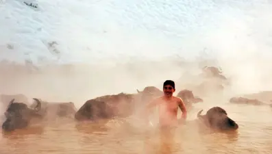 Bitlisli yetiştiriciler, eksi 20 derecede mandalarıyla kaplıcada suya giriyor