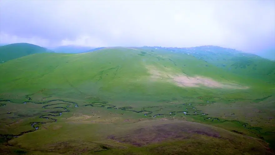 Karadeniz'de yolculuk yeşile dönüyor (Yeşil yol projesi) 11