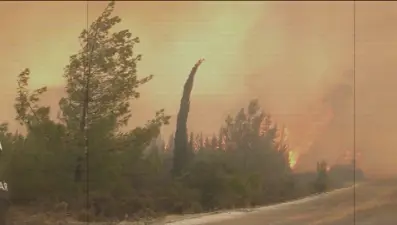 NTV muhabirleri yangınla savaşı anlatıyor