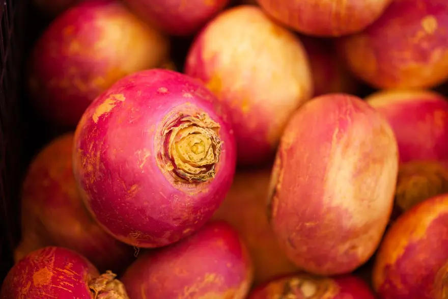 Şalgamın az bilinen 10 faydası: Vücuda etkilerini duyan sofrasından eksik etmiyor 