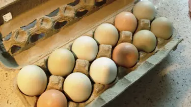 Son kullanma tarihi 'tarih' olacak
