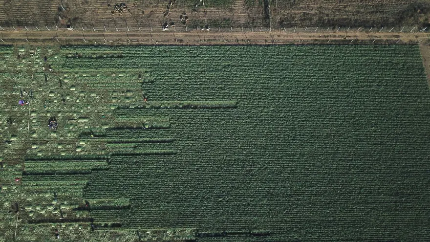 "TÜKETİCİ DE ÜRETİCİ DE ŞİKAYETÇİ" 6