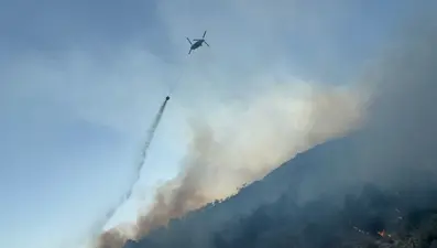 Söke'deki orman yangını kontrol altında