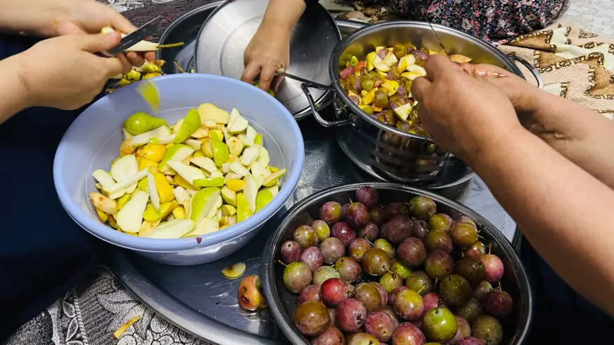 Dut, erik, kayısı ve elmadan yapılıyor: Güneşte kurutulup kış için hazırlanıyor 2 Dut, erik, kayısı ve elmadan yapılıyor: Güneşte kurutulup kış için hazırlanıyor 2