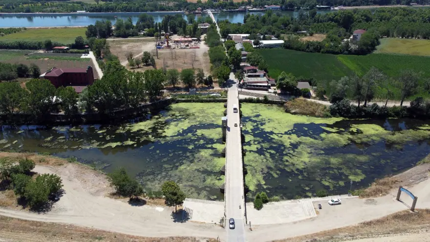 Debi düştü, Tunca Nehri yosunla kaplandı 10