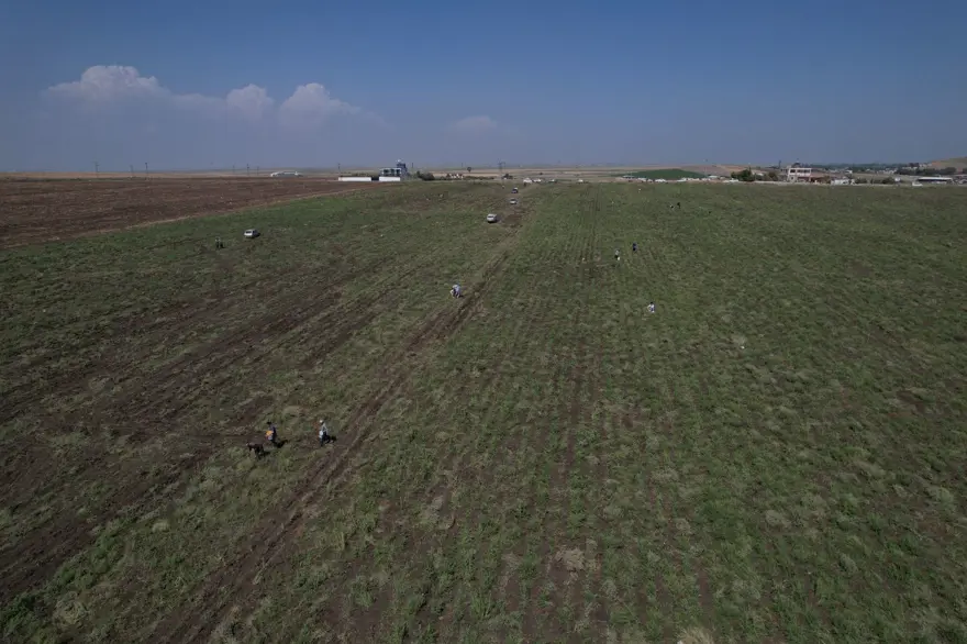 Pazarda, markette 15 TL'ye satılan patatesi bedava dağıttı! Duyanlar akın etti 7 Pazarda, markette 15 TL'ye satılan patatesi bedava dağıttı! Duyanlar akın etti 7