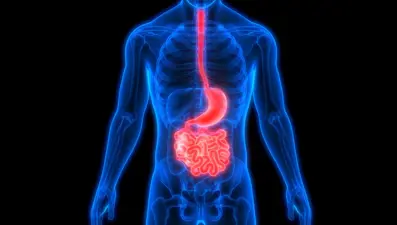 “Posalı gıdalar sindirim sistemi kanserlerini önlüyor”