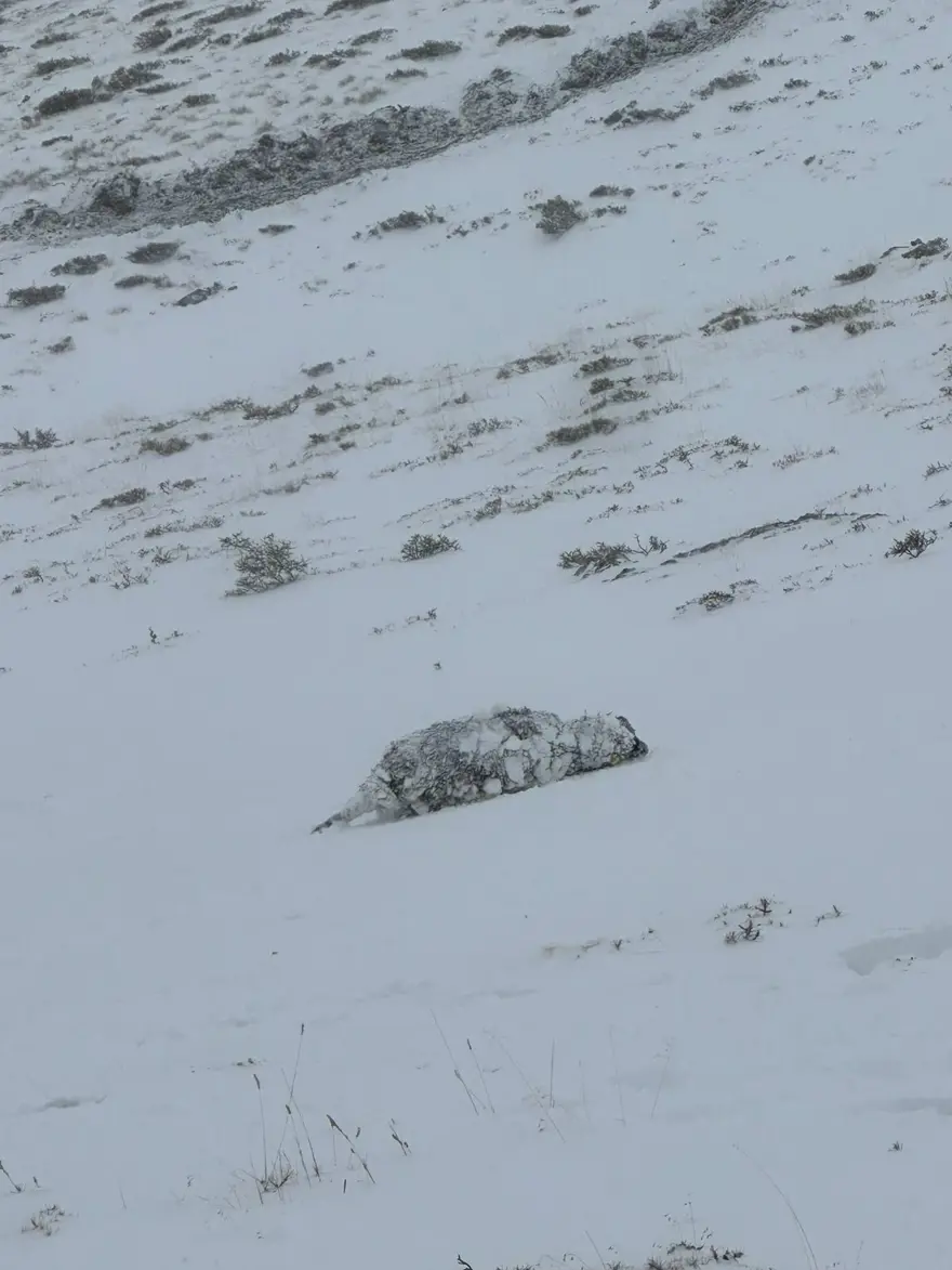 Bayburt'ta çatıdan düşen kar, hasara yol açtı 5