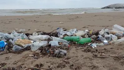 Karadeniz'in deniz çöpü haritası çıkarıldı: Yüzde 90'ı kirli veya çok kirli