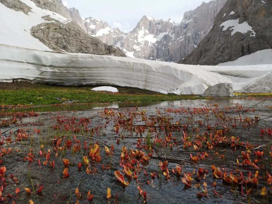 cilo sat dağları, hakkari dağları, hakkari dağcılık, hakkari cilo tırmanışı 7